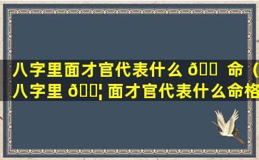 八字里面才官代表什么 🐠 命（八字里 🐦 面才官代表什么命格）